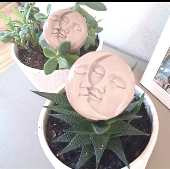 Hand Crafted, espresso yourself soap medallions - Picture 3 of 4